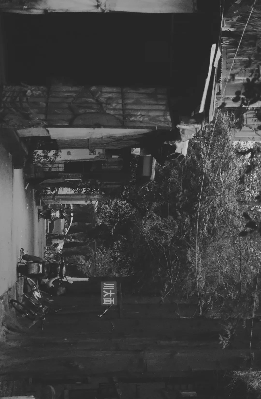 川大望江介绍,川大望江校区