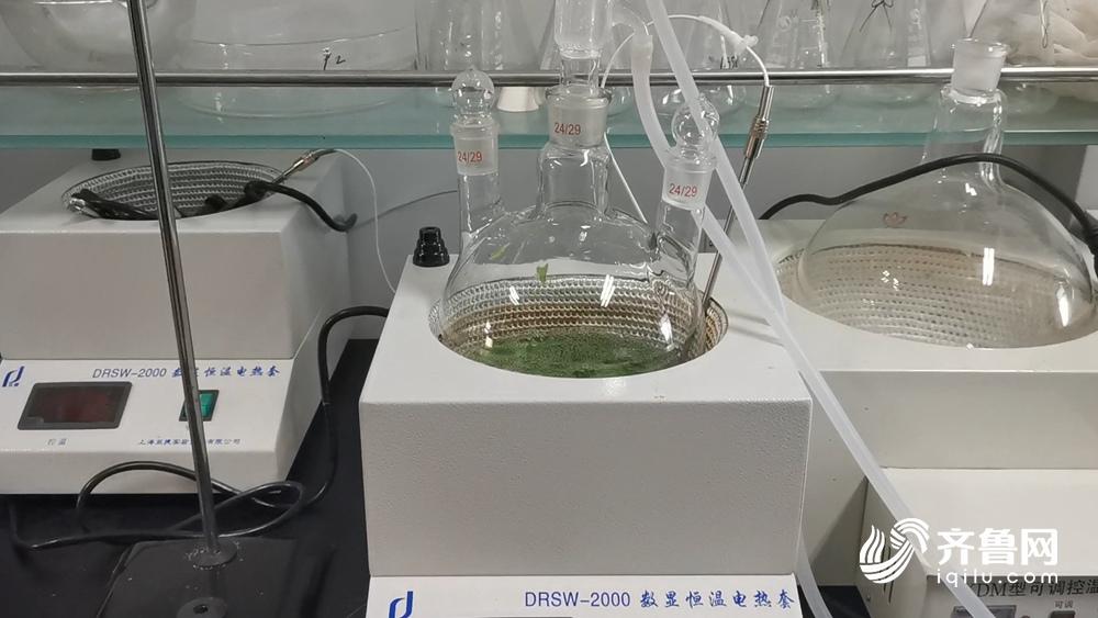 新鲜！济南鲍芹面膜研制成功记者体验：清香透凉不刺激