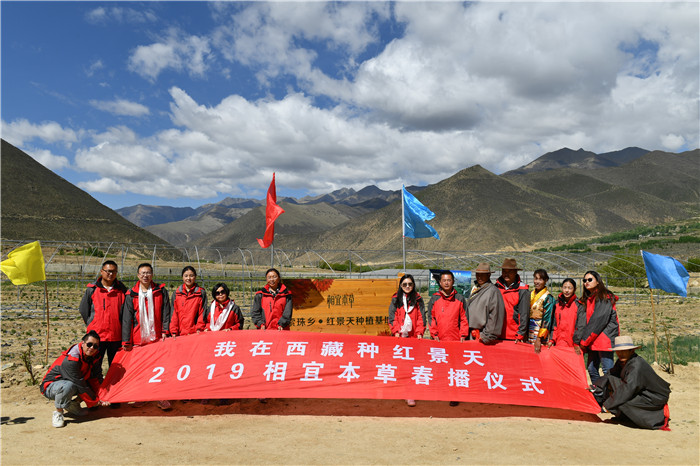 中国经济发展与环境平衡重在创新,我国经济的协调性和可持续发展