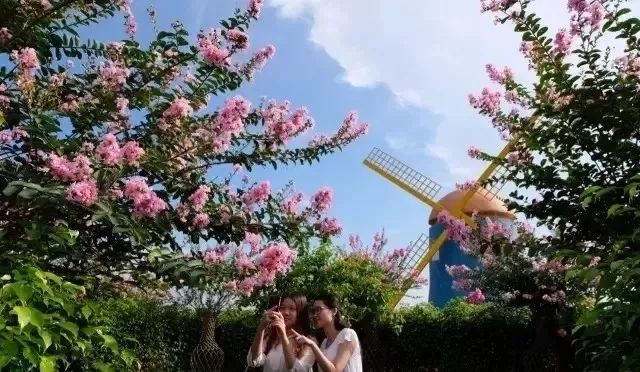 鹭湖半山汤谷温泉团购,鹭湖半山温泉收费标准