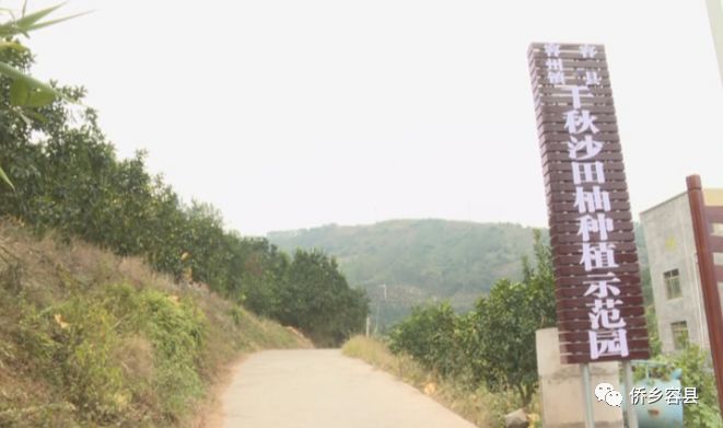 ohmygod闆堕,ohmygod瑗跨摐瑙嗛