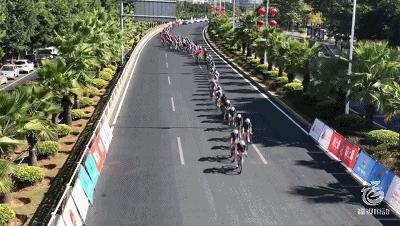 驭风者最新视频,驭风者全部视频