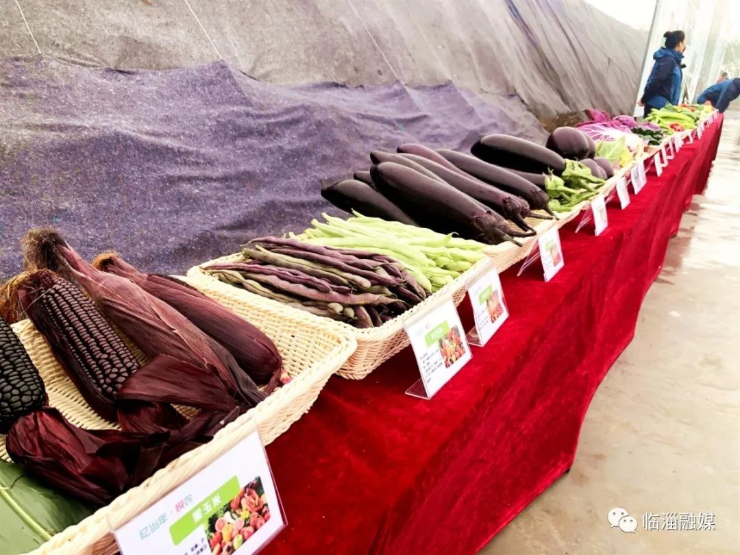 临淄经济发展现场,临淄经济社会发展