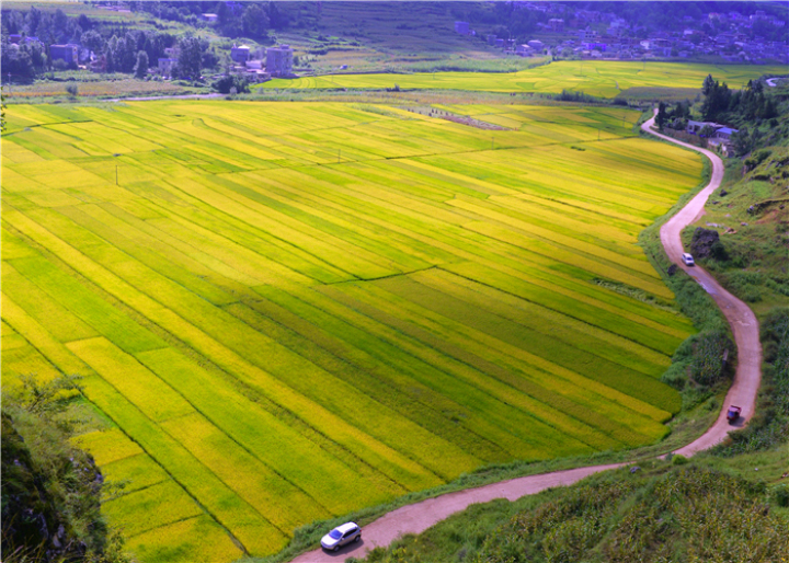 曹振华富源,富源金城路曹振华