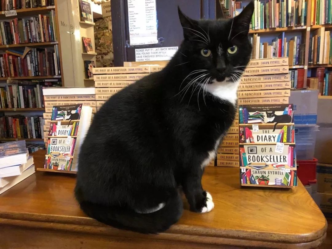 越读越陶醉,越读越有味道英文