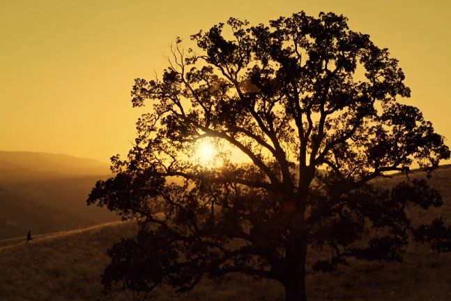 真正让你变美的护肤品高口碑,堪比大牌的护肤品