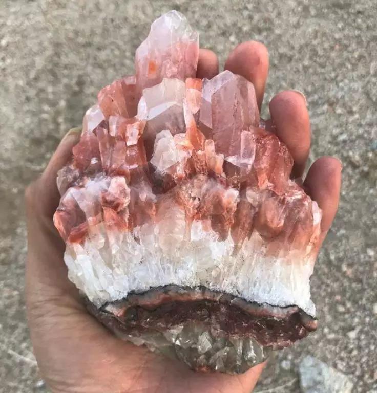 塔罗占星西方神秘学入门,塔罗里和神秘学有关的牌