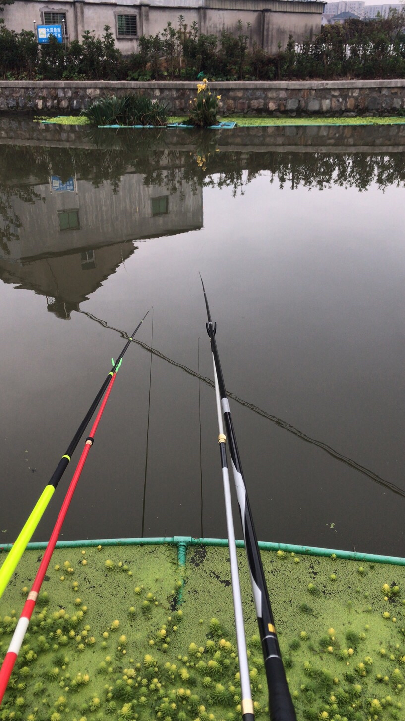 野钓垂钓实录,野钓钓鱼视频实战