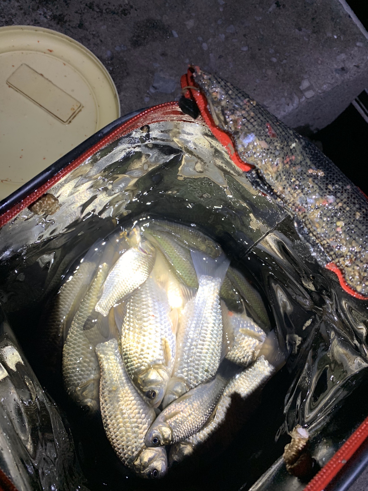 禁不住诱惑去开光，马马虎虎算成功