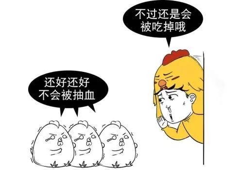 打鸡血有科学依据么,打鸡血真的可以使人亢奋吗