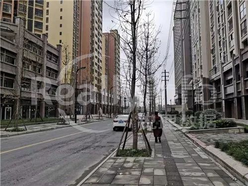 成都土拍最新消息今天时间表,成都土拍集中2021第三次青白江