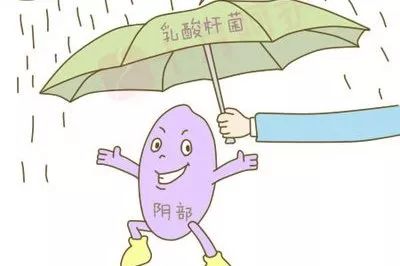 “神秘的村庄”——女性阴道