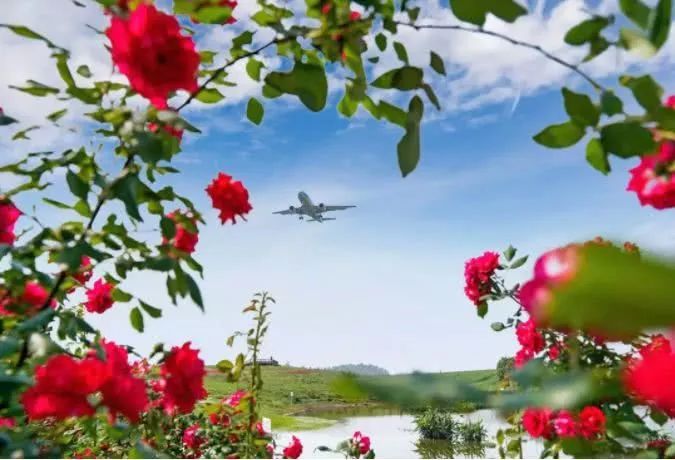 omg爆火,最近超火的omg视频