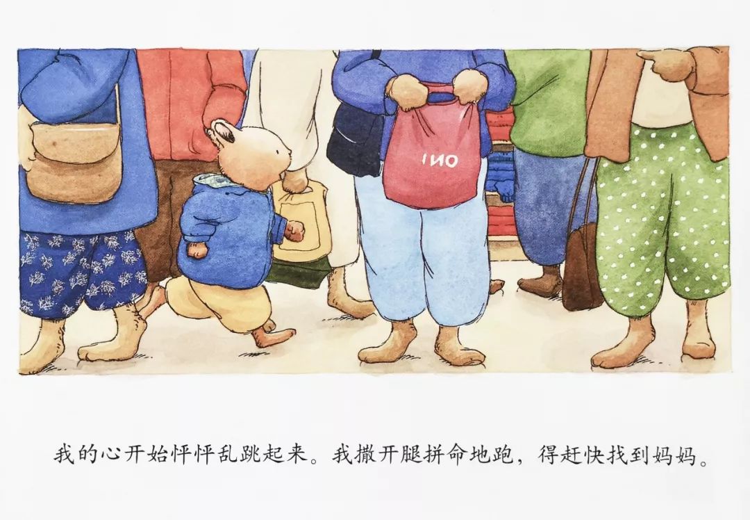 绘本30本,目前市面上最畅销的绘本系列