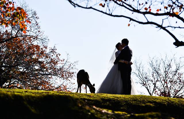 15天关西自由行,日本关东7日自由行