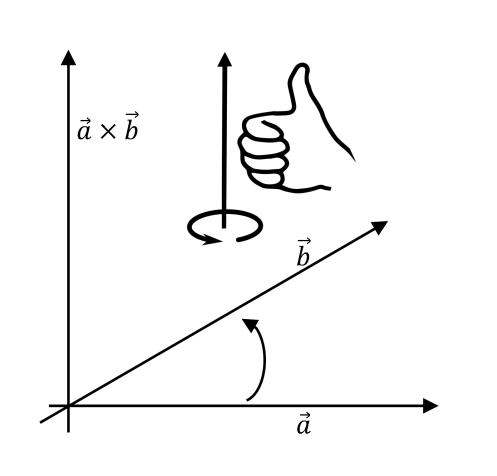 猫空中转体的动力学,猫空中转身的力学原理