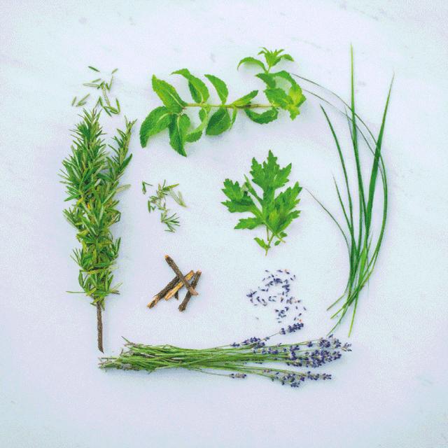 防脱发最好的科普,防脱发自救指南