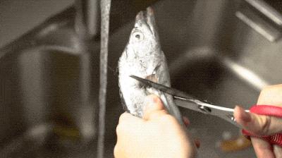 台湾评价吕四海鲜,吕四海鲜干货