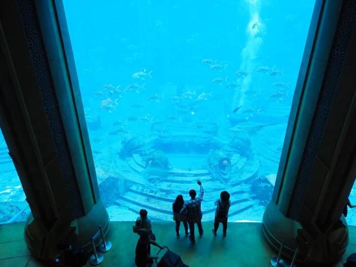 奥林巴斯em5一代拍摄效果,奥林巴斯em5mark3拍照样张