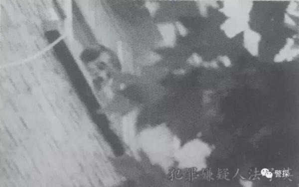 女逃犯劳荣枝落网视频,杀7人女逃犯劳荣枝被公诉