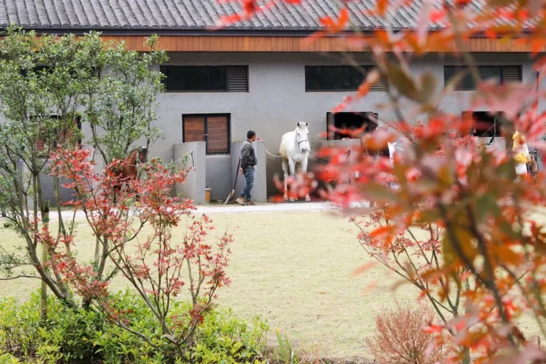 新昌安岚山居酒店,温泉入户竹林山居