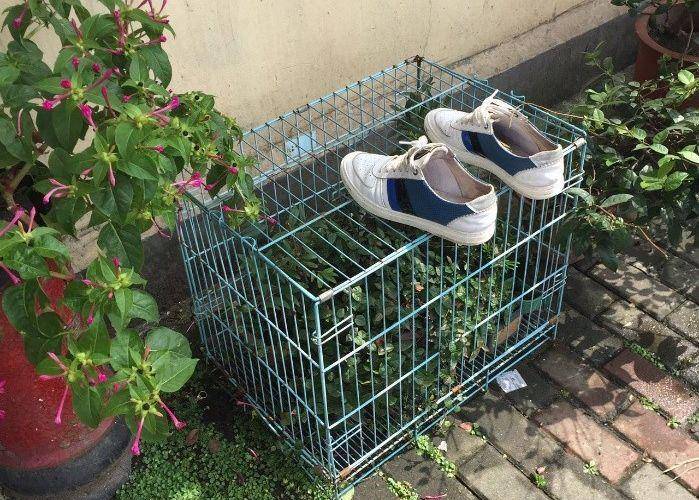 这张图非常火，很多网友留言说：这个星星就不知道把板凳往前挪一挪吗？