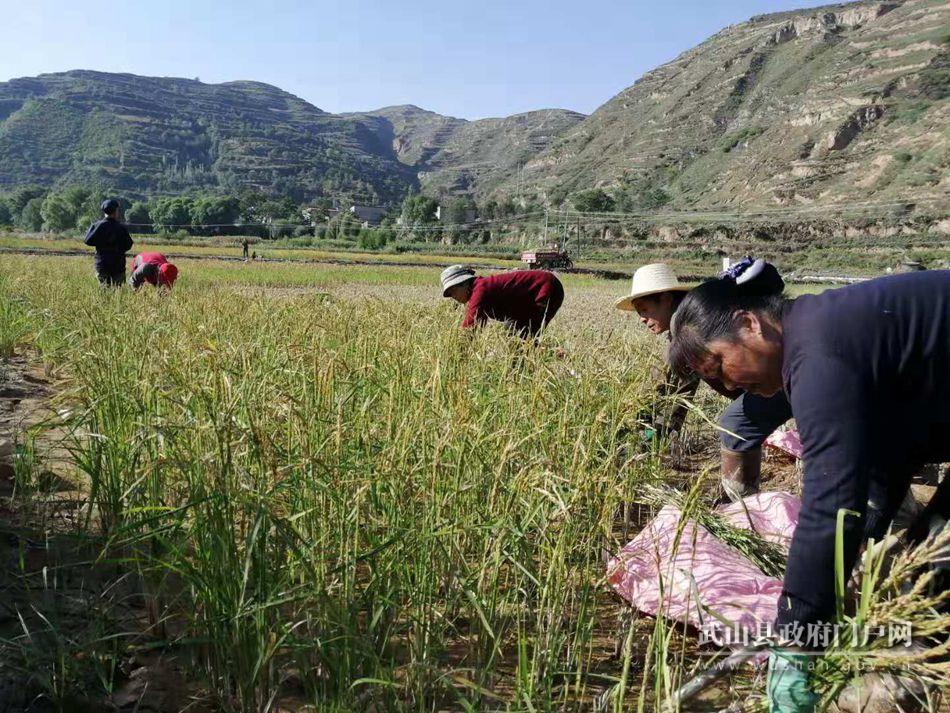 梦想从新起航,梦想从这一刻开始