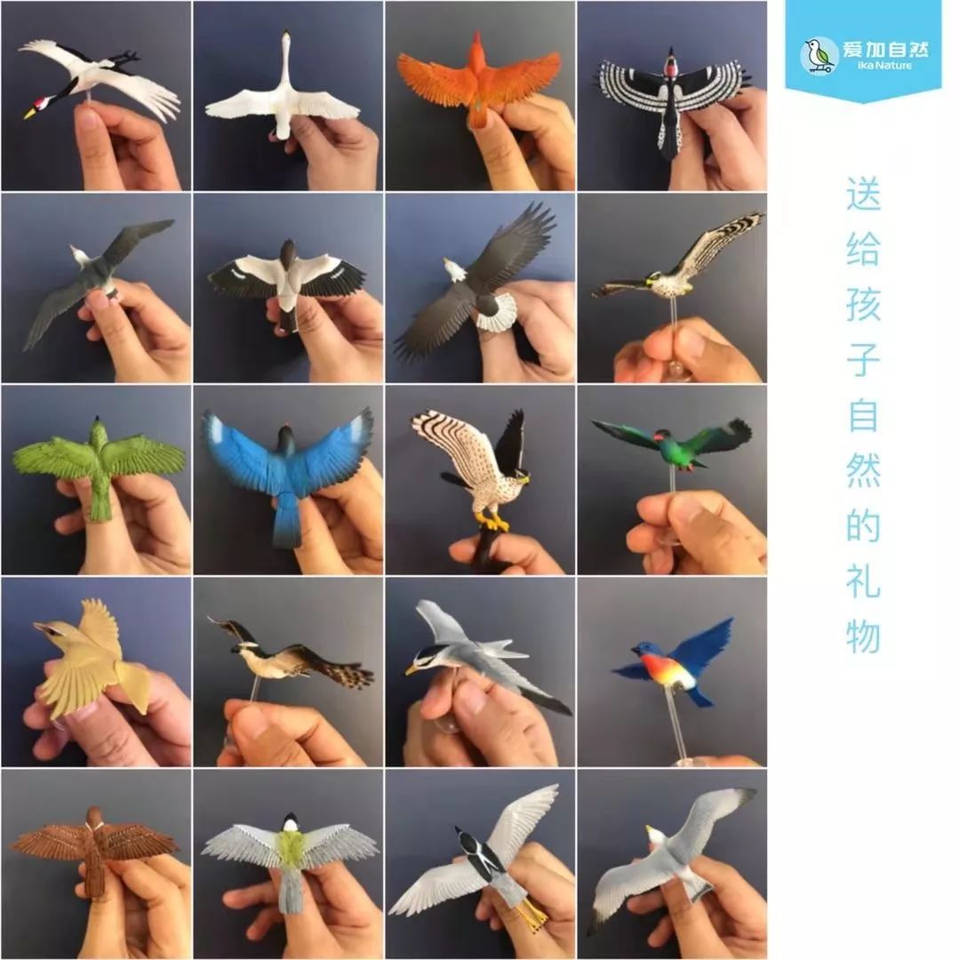 劲草嘉年华最新视频,2023年劲草嘉年华