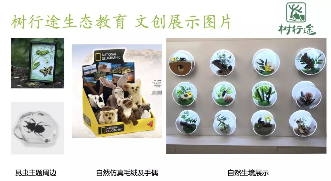 劲草嘉年华最新视频,2023年劲草嘉年华