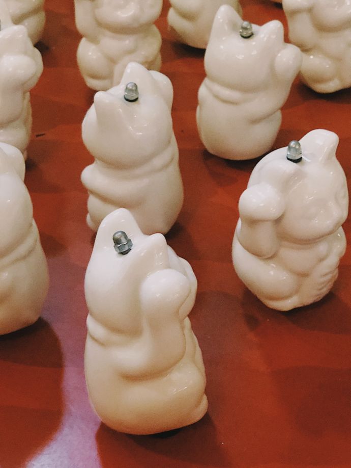 各种猫咪的博物馆,猫咪博物馆都有哪些猫