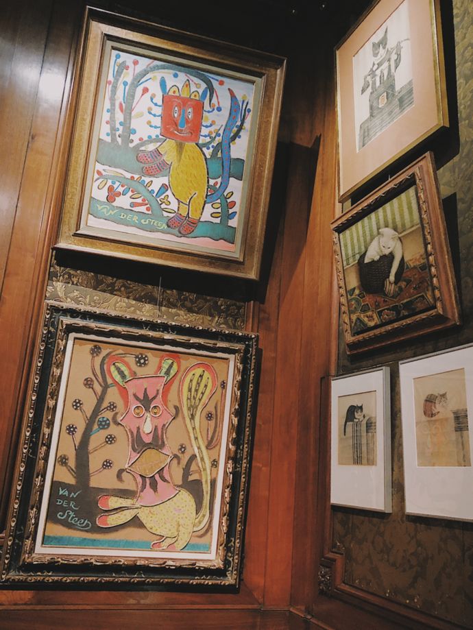 各种猫咪的博物馆,猫咪博物馆都有哪些猫