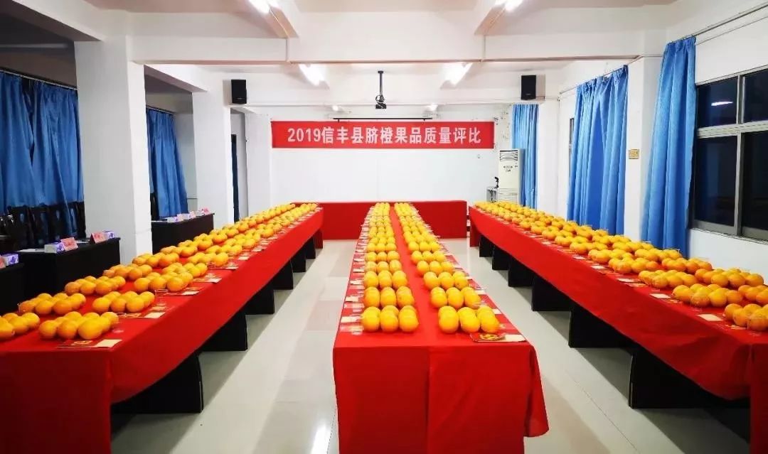 脐橙之乡信丰脐橙,信丰脐橙和赣南脐橙