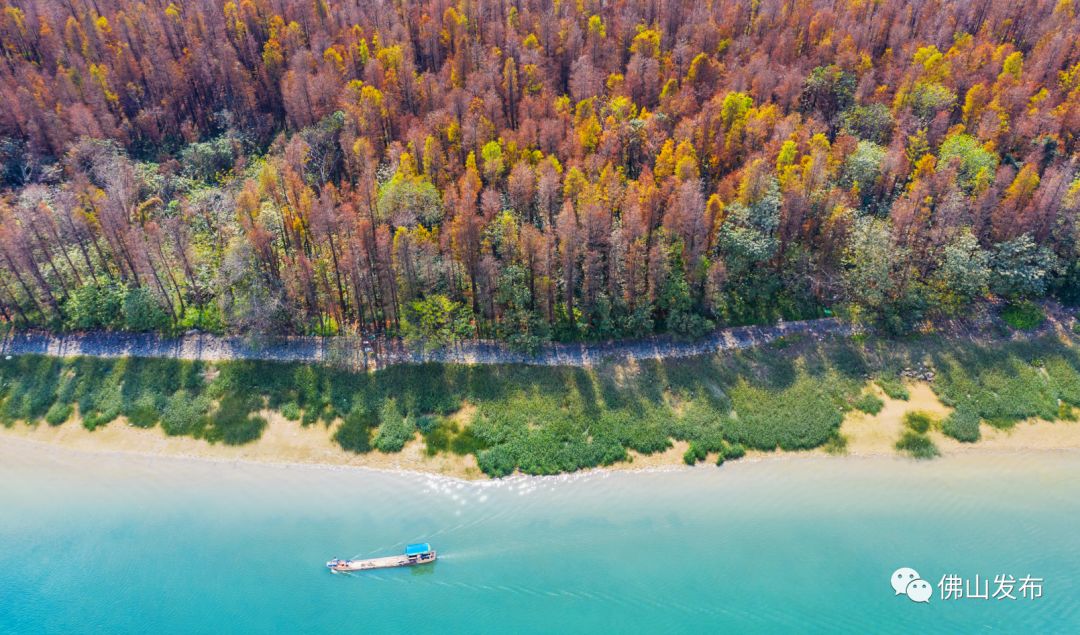 鎴戠埍鎴戝浣涘北,鎴戠殑鑰佸浣涘北