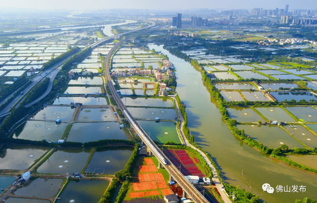 鎴戠埍鎴戝浣涘北,鎴戠殑鑰佸浣涘北