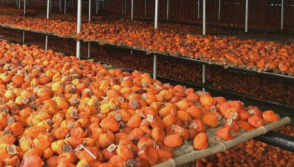 补货啦！柿饼界的小花旦，果冻Q心