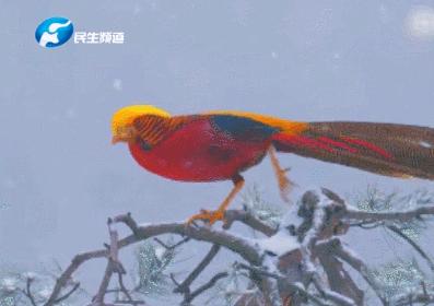 联播pro:转账代买都可以外卖跑腿平台向未成年人售香烟成常态