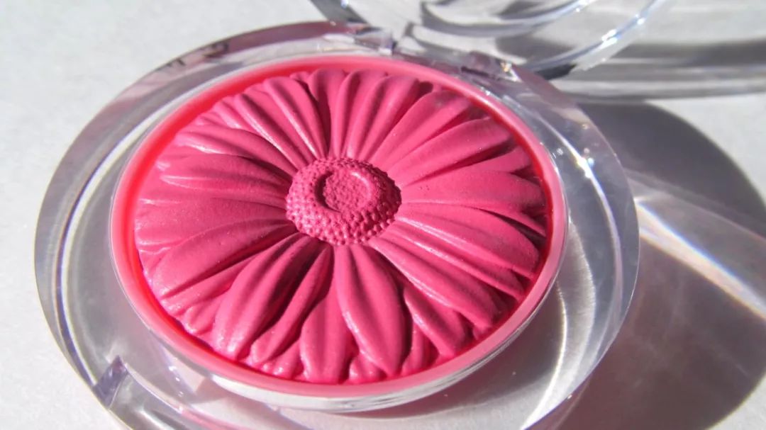 权志龙喜欢的雏菊是什么雏菊,权志龙的小雏菊为什么少一半