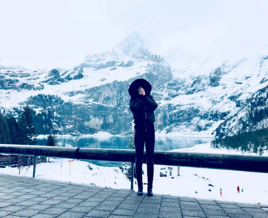 人间富贵花上位史,人间富贵花和霸总