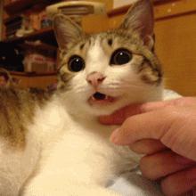 为什么会发呆走神呢,莫名其妙走神严重