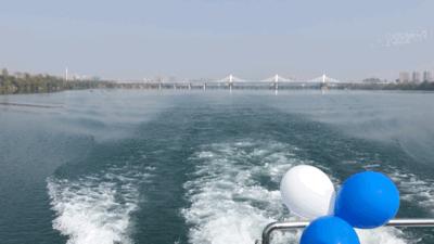 碧桂园天玺湾喜报来袭,碧桂园天玺湾6号楼认筹