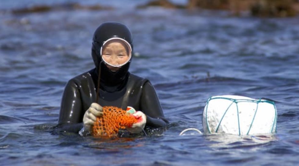 济州岛光影图,济州岛看海底