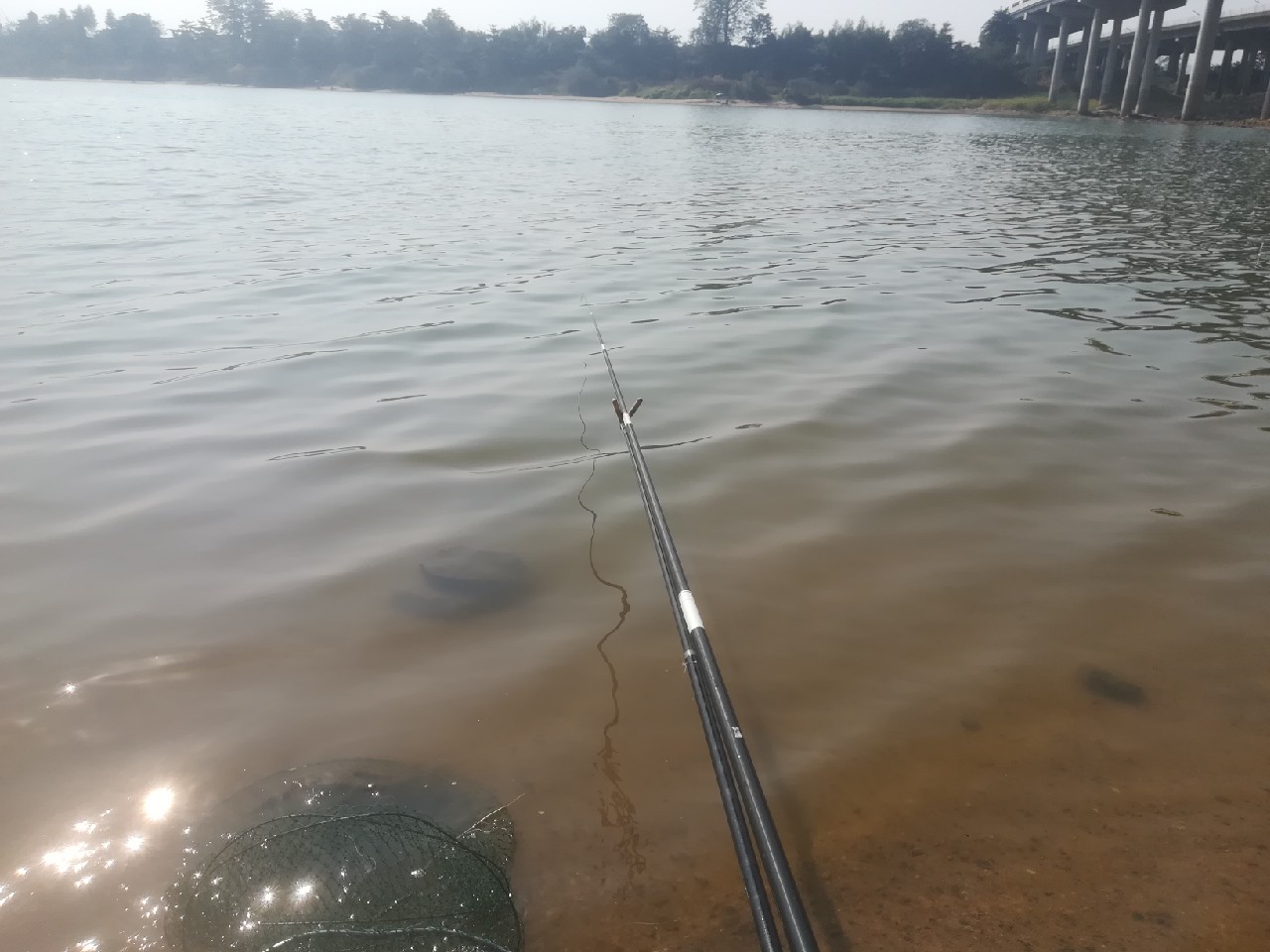 野钓常买的鸡肋钓具误区,新手入门如何选钓具