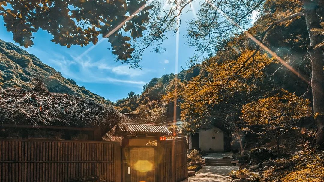 一房私汤温泉民宿推荐,南京一汤一庭院温泉民宿