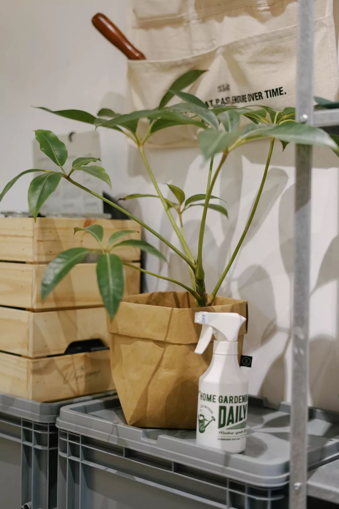 南京十二月适合去的地方,十二月南京两天一夜的攻略