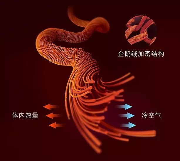 日本黑科技发热保暖内衣,3秒发热黑科技保暖内衣