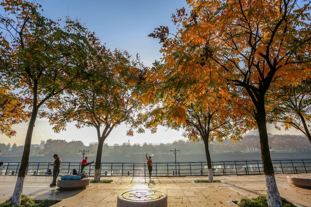 义乌十大网红打卡地,义乌网红打卡小镇