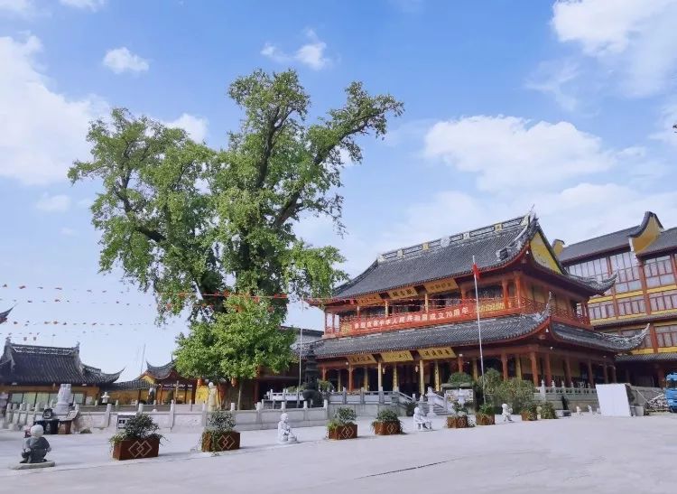 上海地铁可直达6个古镇,从上海到江南六个水乡古镇