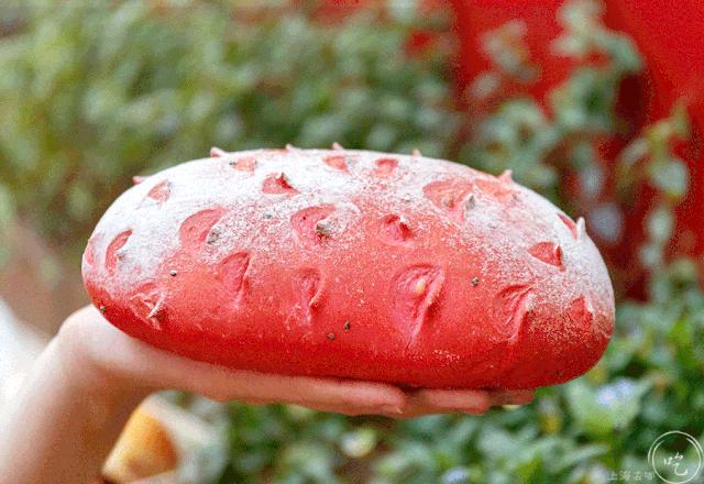 上海豆乳研究所,上海豆乳研究所地址