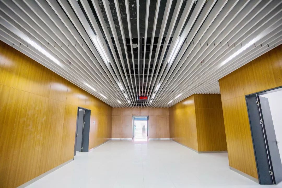 大写的牛！肇庆新区体育中心喜获“国优”工程荣誉