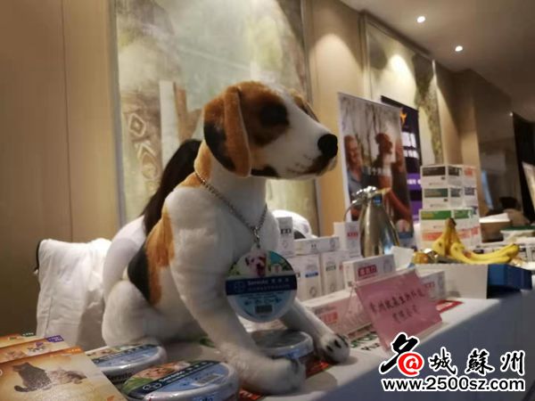 主人少跑腿少花钱，省内首创的苏州“宠物云病历”上线啦